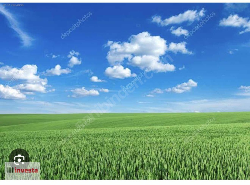 Bandırma Çakıl'da Yatırımlık Değerde 9.902 M² Geniş Tarla