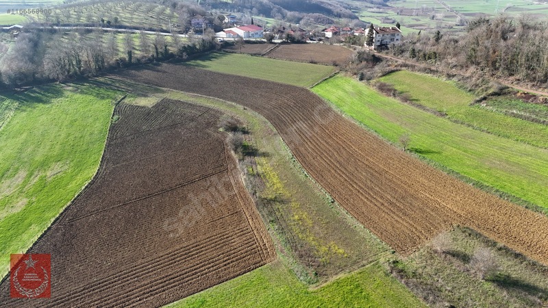 Kandıra Kaymaz Aramanda İmarlı Arazi — fotoğraf 6