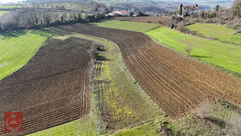 Kandıra Kaymaz Aramanda İmarlı Arazi — fotoğraf 8