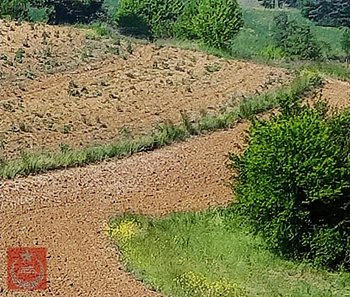 Kandıra Kaymaz Aramanda İmarlı Arazi — fotoğraf 13