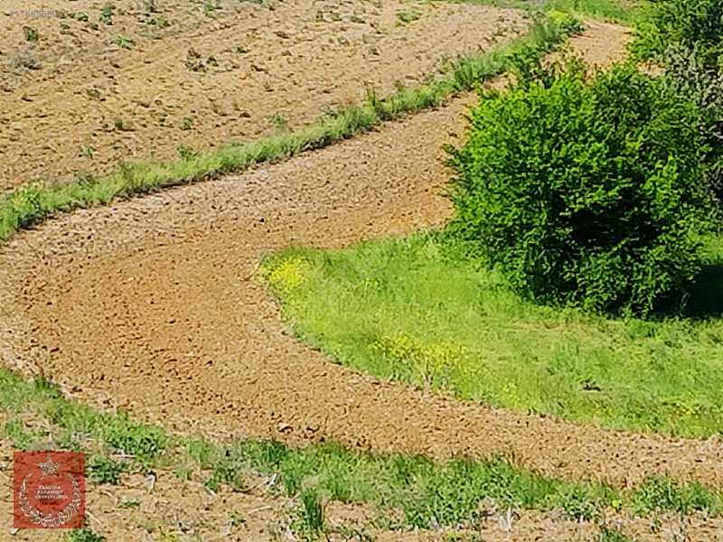 Kandıra Kaymaz Aramanda İmarlı Arazi — fotoğraf 14