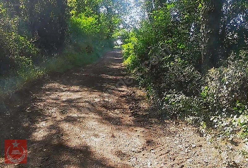 Kandıra Kaymaz Aramanda İmarlı Arazi — fotoğraf 17