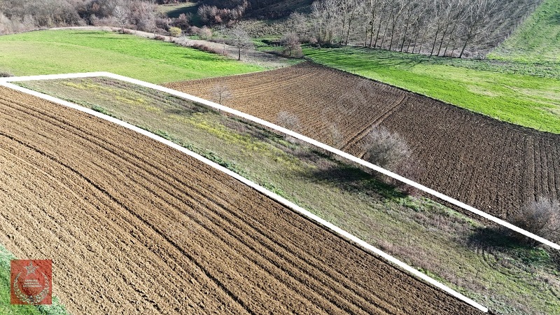 Kandıra Kaymaz Aramanda İmarlı Arazi — fotoğraf 22