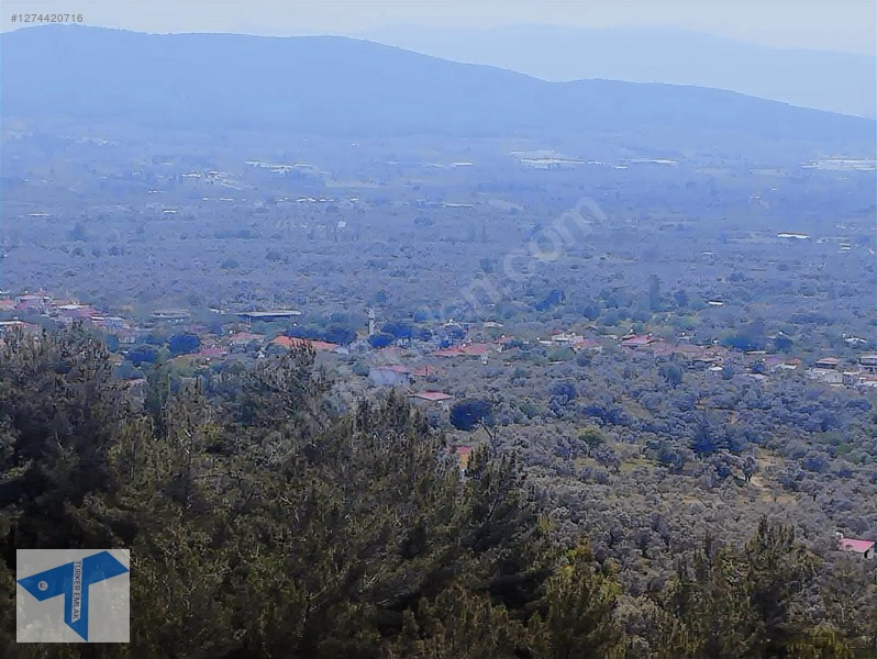Torbalı'da Manzaralı, 250m² Yatırımlık Arsa — fotoğraf 14