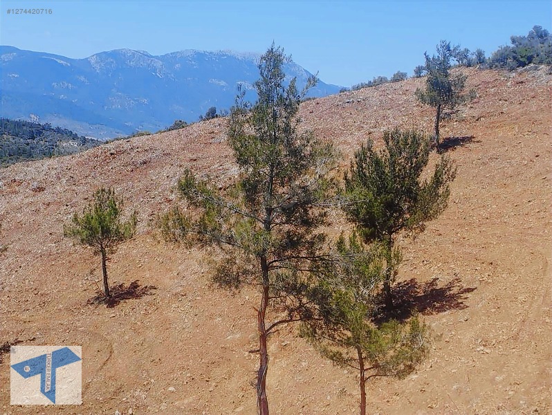 Torbalı'da Manzaralı, 250m² Yatırımlık Arsa — fotoğraf 17