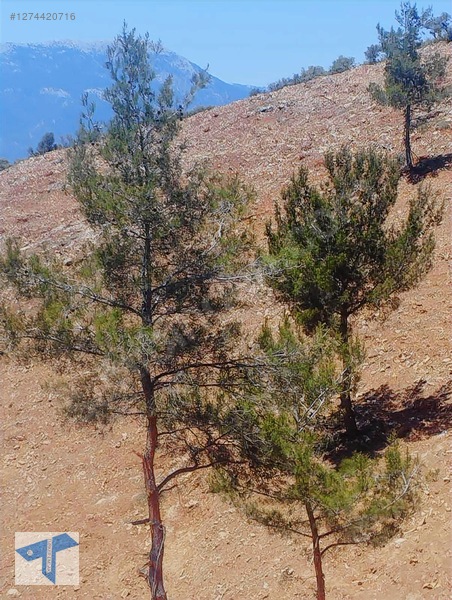 Torbalı'da Manzaralı, 250m² Yatırımlık Arsa — fotoğraf 19