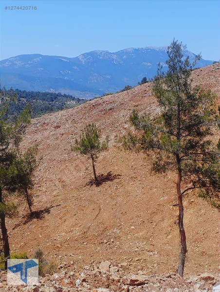 Torbalı'da Manzaralı, 250m² Yatırımlık Arsa — fotoğraf 20