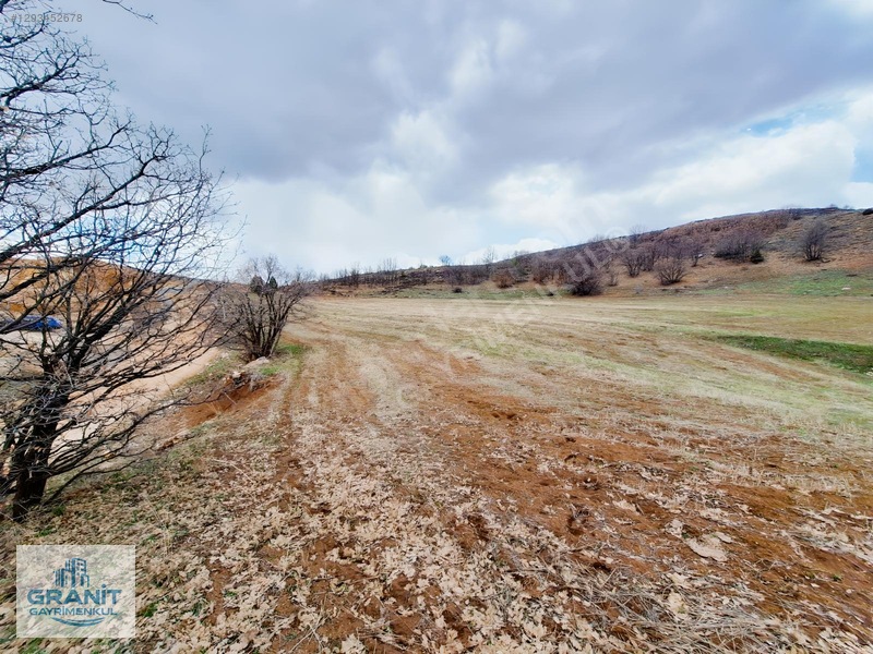 Granit Gayrimnkul Kayseri, Pınarbaşı, Bahçecik Mh.tek Tapu Tarla — fotoğraf 5