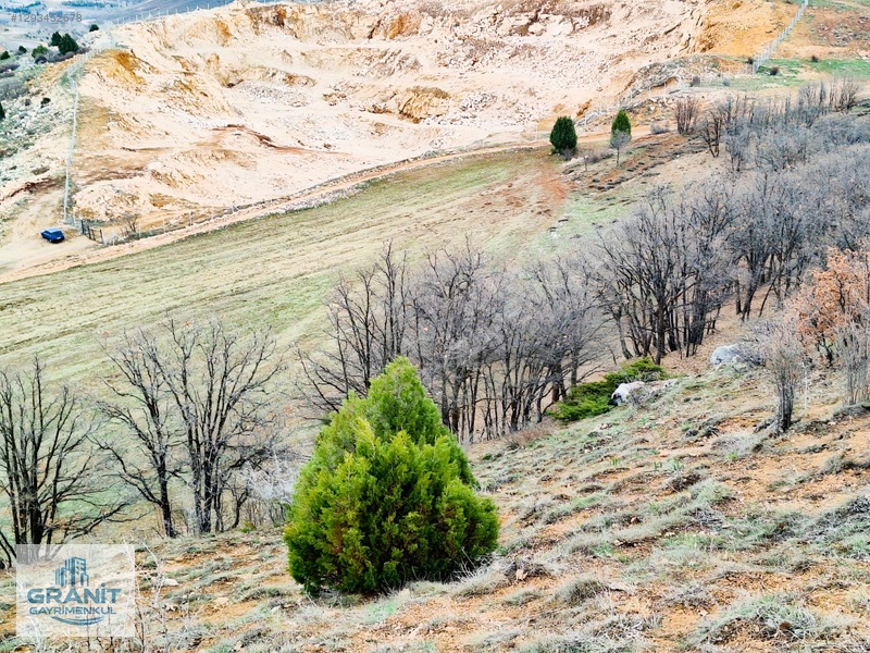 Granit Gayrimnkul Kayseri, Pınarbaşı, Bahçecik Mh.tek Tapu Tarla — fotoğraf 13