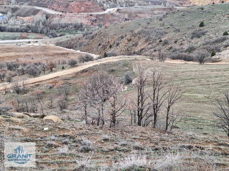 Granit Gayrimnkul Kayseri, Pınarbaşı, Bahçecik Mh.tek Tapu Tarla — fotoğraf 14