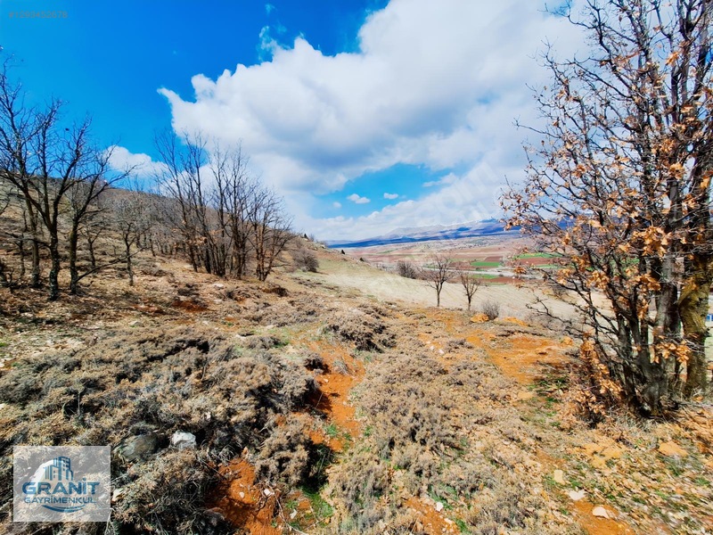 Granit Gayrimnkul Kayseri, Pınarbaşı, Bahçecik Mh.tek Tapu Tarla — fotoğraf 18