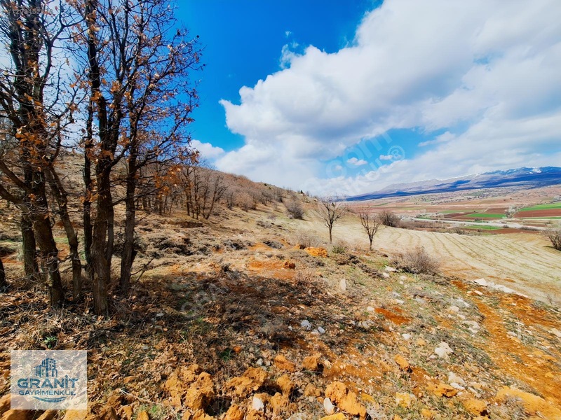 Granit Gayrimnkul Kayseri, Pınarbaşı, Bahçecik Mh.tek Tapu Tarla — fotoğraf 20