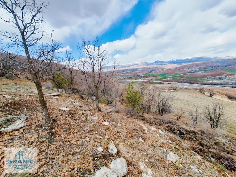 Granit Gayrimnkul Kayseri, Pınarbaşı, Bahçecik Mh.tek Tapu Tarla — fotoğraf 28