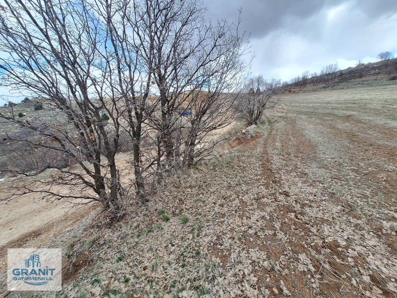 Granit Gayrimnkul Kayseri, Pınarbaşı, Bahçecik Mh.tek Tapu Tarla — fotoğraf 37