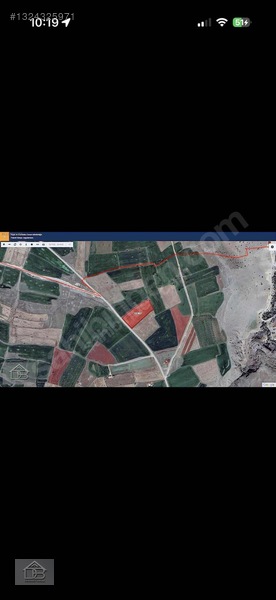 Gümüşbqglar Mürüdüde Satılık Tarla — fotoğraf 2