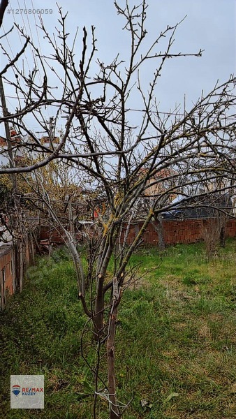 Villa Huzuru! Taflanda Denize Yakın Bahçeli Müstakil Ev — fotoğraf 19