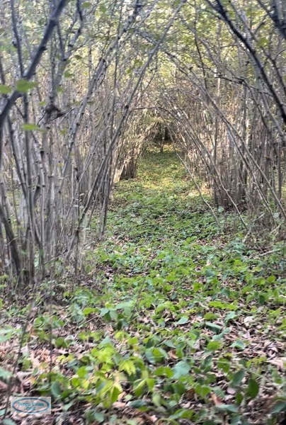 Tempo'dan Kandıra Yusufça Mah.çamurlupınar Mevkinde 2204m2 Tarla — fotoğraf 6