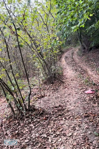 Tempo'dan Kandıra Yusufça Mah.çamurlupınar Mevkinde 2204m2 Tarla — fotoğraf 7