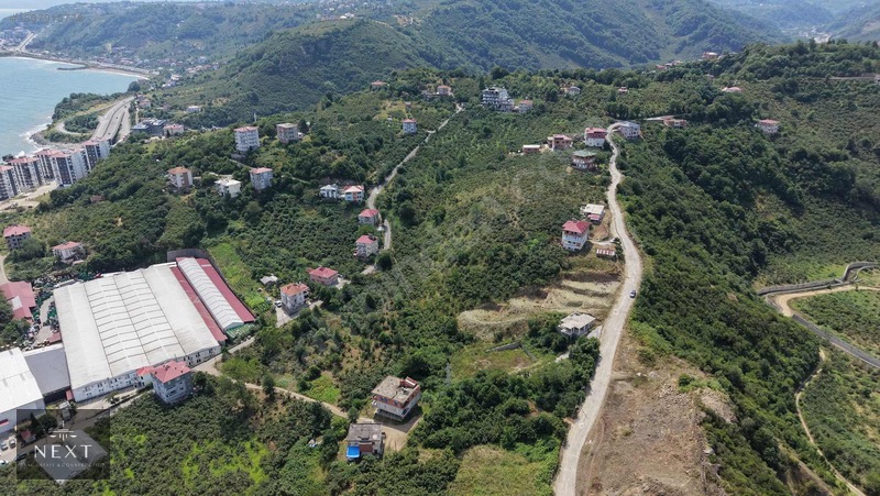 Trabzon Arsin De Satılık İmarlı Arsa — fotoğraf 8