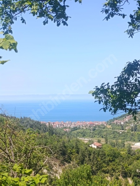 Yine *zeybek'*den Bozkurt Merkez Meteoroloji Tepesinde.5.800.m2 — fotoğraf 2