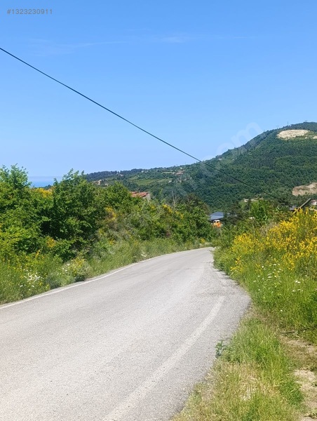 Yine *zeybek'*den Bozkurt Merkez Meteoroloji Tepesinde.5.800.m2 — fotoğraf 4