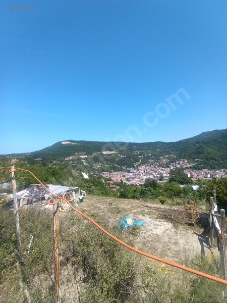 Yine *zeybek'*den Bozkurt Merkez Meteoroloji Tepesinde.5.800.m2 — fotoğraf 5