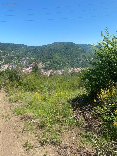Yine *zeybek'*den Bozkurt Merkez Meteoroloji Tepesinde.5.800.m2 — fotoğraf 10