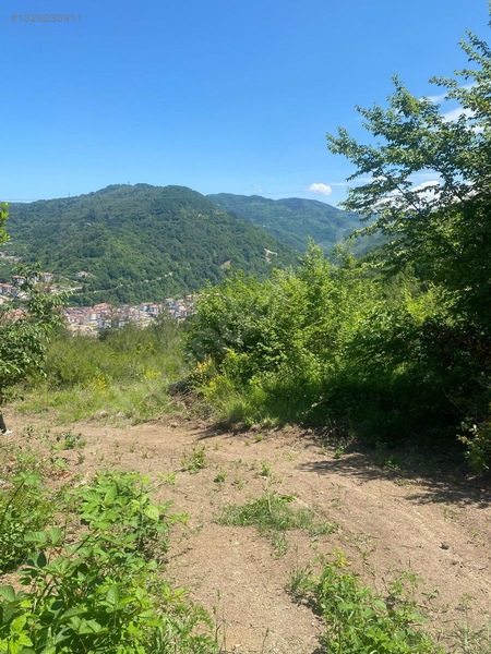 Yine *zeybek'*den Bozkurt Merkez Meteoroloji Tepesinde.5.800.m2 — fotoğraf 11