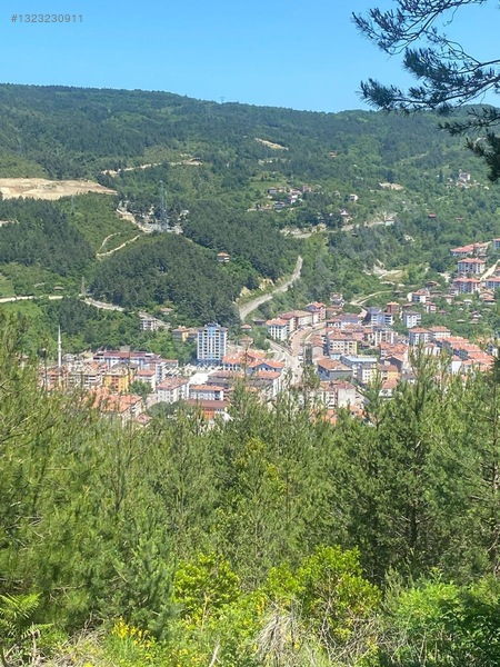 Yine *zeybek'*den Bozkurt Merkez Meteoroloji Tepesinde.5.800.m2 — fotoğraf 13