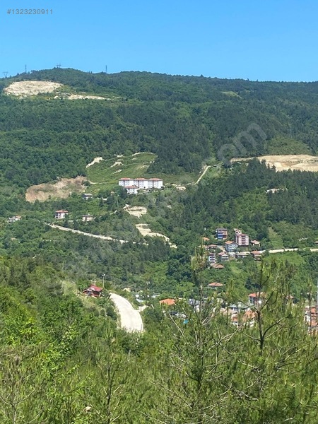 Yine *zeybek'*den Bozkurt Merkez Meteoroloji Tepesinde.5.800.m2 — fotoğraf 14