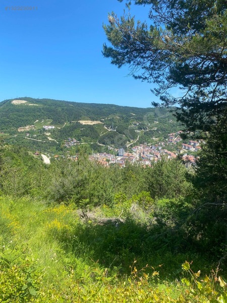 Yine *zeybek'*den Bozkurt Merkez Meteoroloji Tepesinde.5.800.m2 — fotoğraf 15