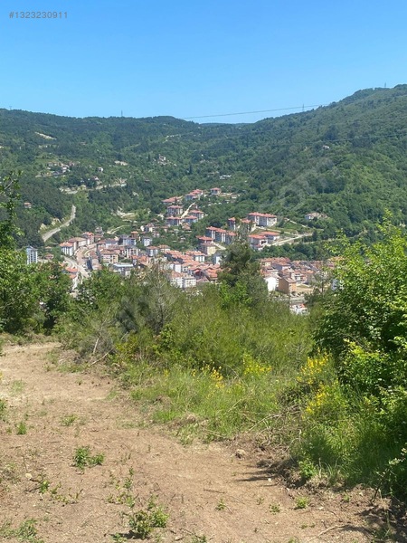 Yine *zeybek'*den Bozkurt Merkez Meteoroloji Tepesinde.5.800.m2 — fotoğraf 16