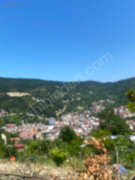 Yine *zeybek'*den Bozkurt Merkez Meteoroloji Tepesinde.5.800.m2 — fotoğraf 17
