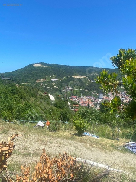Yine *zeybek'*den Bozkurt Merkez Meteoroloji Tepesinde.5.800.m2 — fotoğraf 19