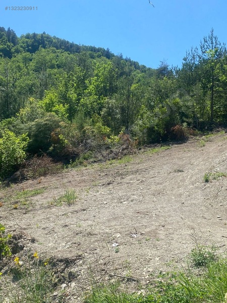 Yine *zeybek'*den Bozkurt Merkez Meteoroloji Tepesinde.5.800.m2 — fotoğraf 20