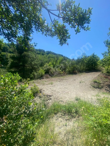 Yine *zeybek'*den Bozkurt Merkez Meteoroloji Tepesinde.5.800.m2 — fotoğraf 21
