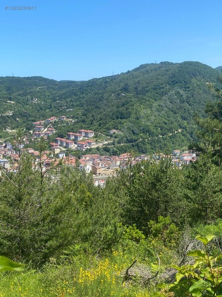 Yine *zeybek'*den Bozkurt Merkez Meteoroloji Tepesinde.5.800.m2 — fotoğraf 23