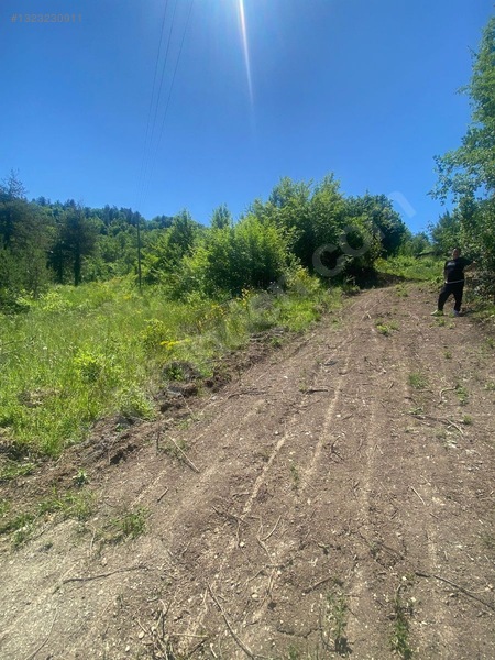 Yine *zeybek'*den Bozkurt Merkez Meteoroloji Tepesinde.5.800.m2 — fotoğraf 24