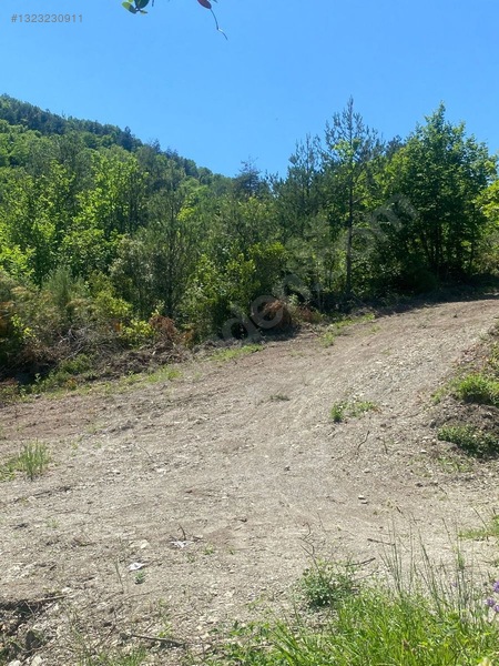 Yine *zeybek'*den Bozkurt Merkez Meteoroloji Tepesinde.5.800.m2 — fotoğraf 25