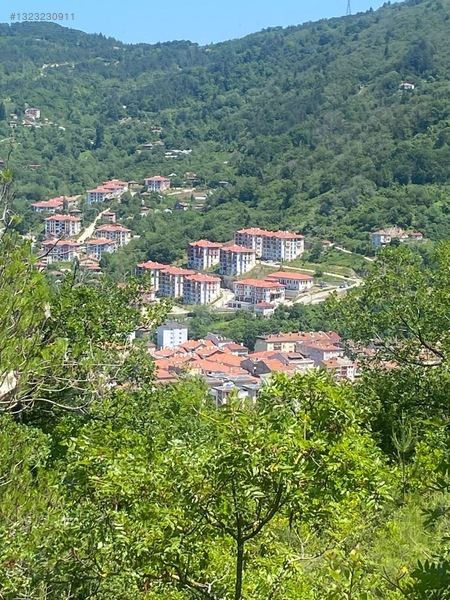 Yine *zeybek'*den Bozkurt Merkez Meteoroloji Tepesinde.5.800.m2 — fotoğraf 26