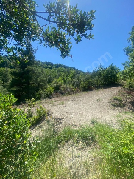 Yine *zeybek'*den Bozkurt Merkez Meteoroloji Tepesinde.5.800.m2 — fotoğraf 29