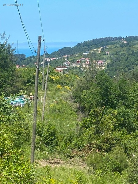 Yine *zeybek'*den Bozkurt Merkez Meteoroloji Tepesinde.5.800.m2 — fotoğraf 35