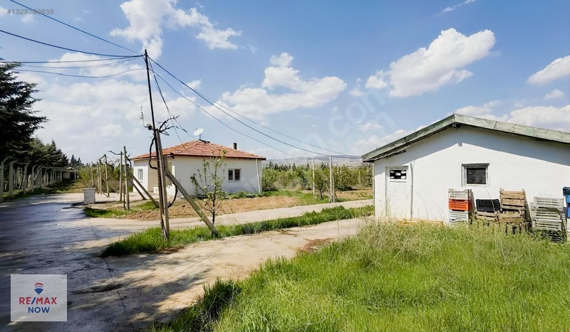 Kırıkkale Çullu Mah 9 Dönümlük 2+1 Ev , Kümes , Kiralık Çiftlik — fotoğraf 3