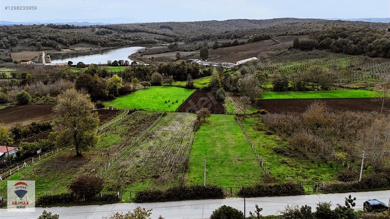 Kaynarca Turnalıda Gölet Manzaralı 419M2 Arsa Emsal 0,40 Projeli