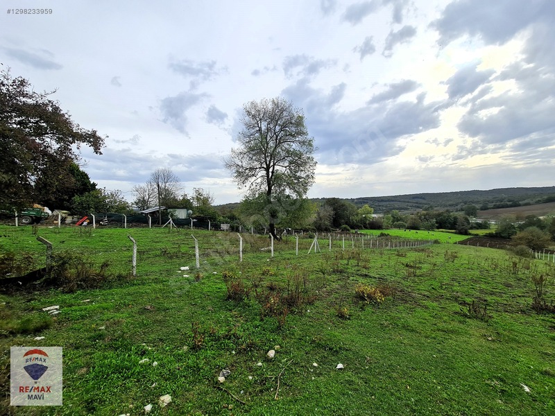 Kaynarca Turnalıda Gölet Manzaralı 419m2 Arsa Emsal 0,40 Projeli — fotoğraf 4