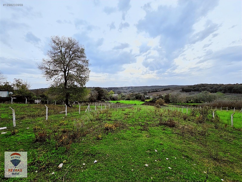 Kaynarca Turnalıda Gölet Manzaralı 419m2 Arsa Emsal 0,40 Projeli — fotoğraf 31