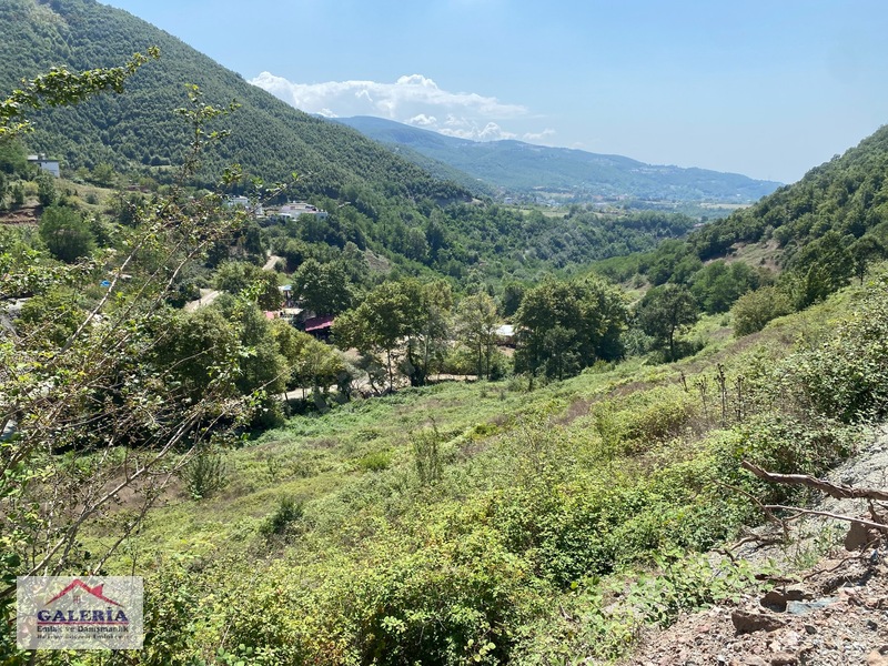 Düziçi Karkında Üç Cephesi Yol Etrafı Çevrili Manzaralı Yaylalık — fotoğraf 2