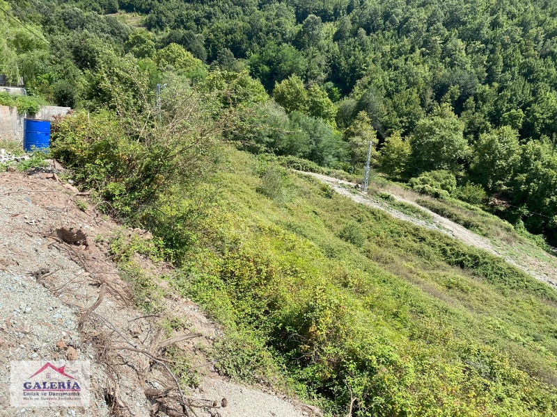 Düziçi Karkında Üç Cephesi Yol Etrafı Çevrili Manzaralı Yaylalık — fotoğraf 3