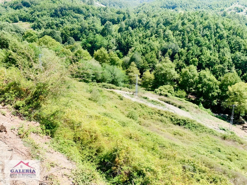 Düziçi Karkında Üç Cephesi Yol Etrafı Çevrili Manzaralı Yaylalık — fotoğraf 4