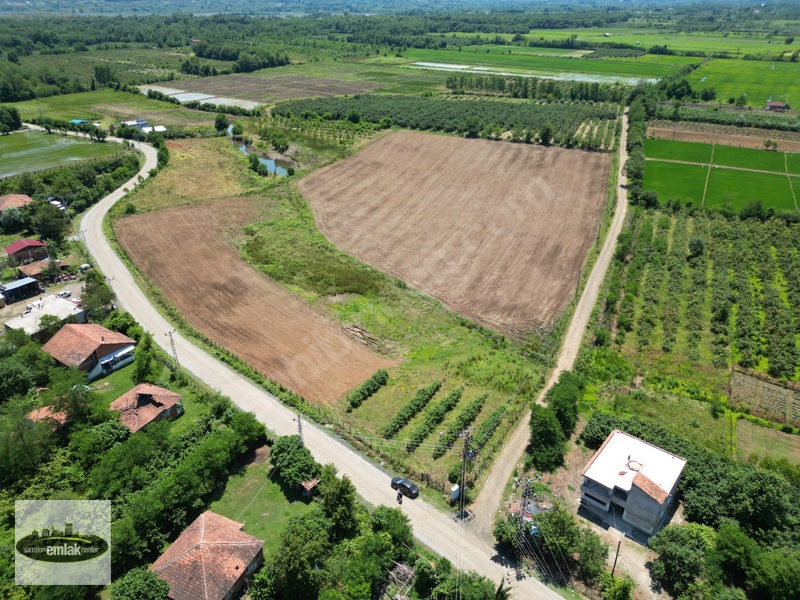 Terme Köybucağı'nda İki Yola Cephe 38.000 M² Satılık Tarla